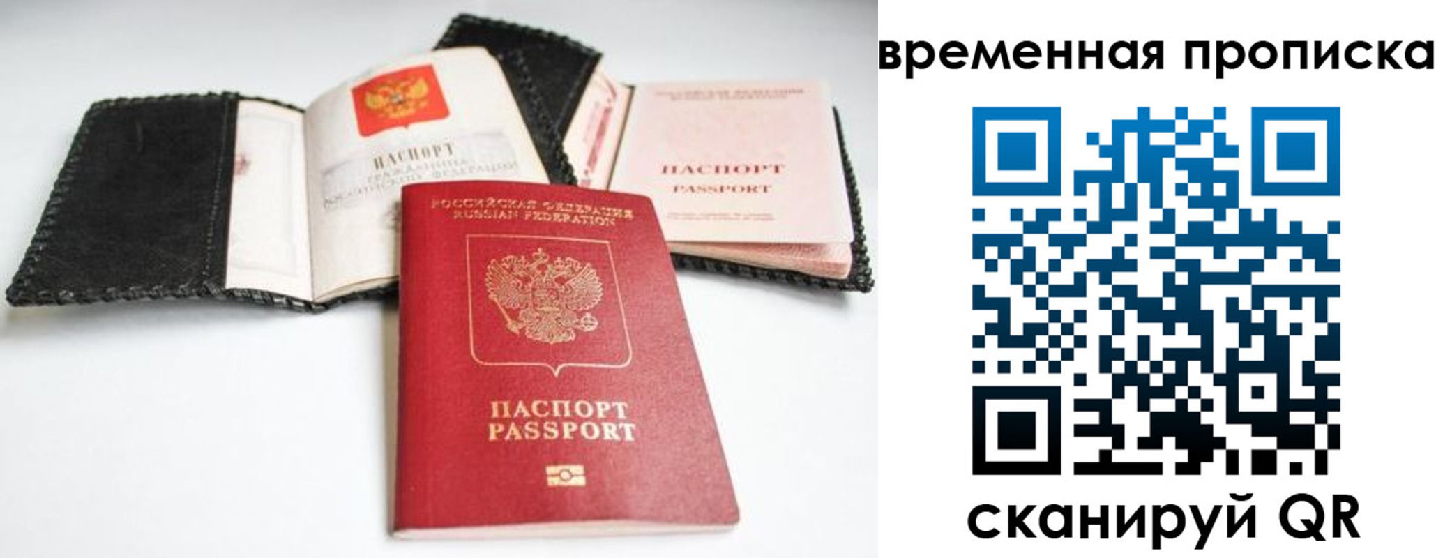 прописка для школы в Электростали